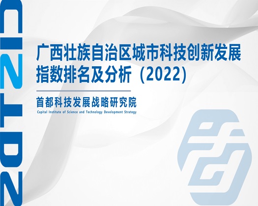 男人把女人捅的爽爽的【成果发布】广西壮族自治区城市科技创新发展指数排名及分析（2022）